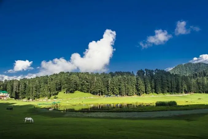 Khajjiar's meadow and cedar forest.