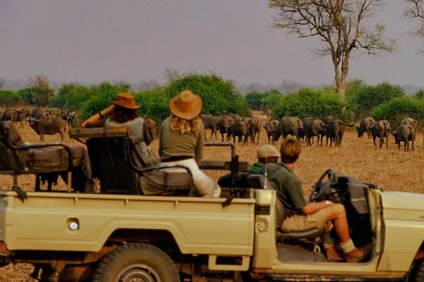 Wildlife safari experience featuring travellers on an open jeep observing a herd of wild animals in their natural habitat, surrounded by a scenic savannah landscape.