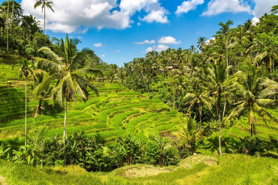 Bali
